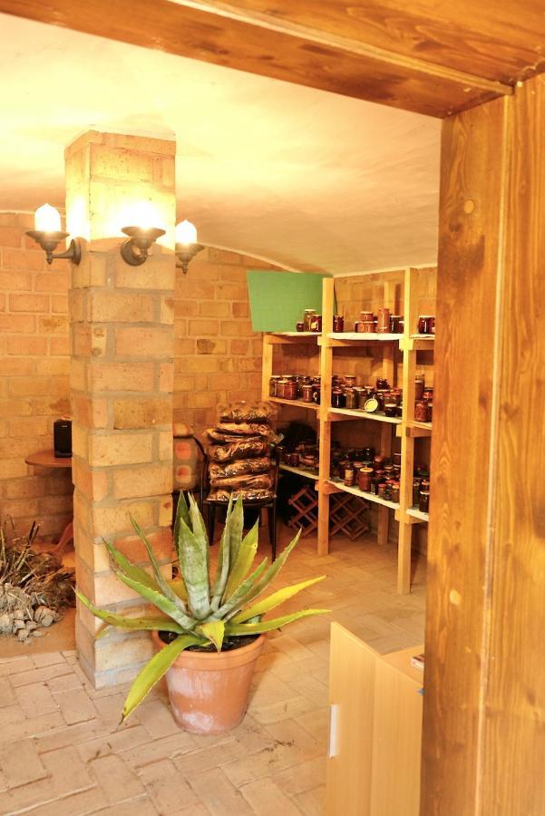 Agroturystyka Strzebielino ภายนอก รูปภาพ