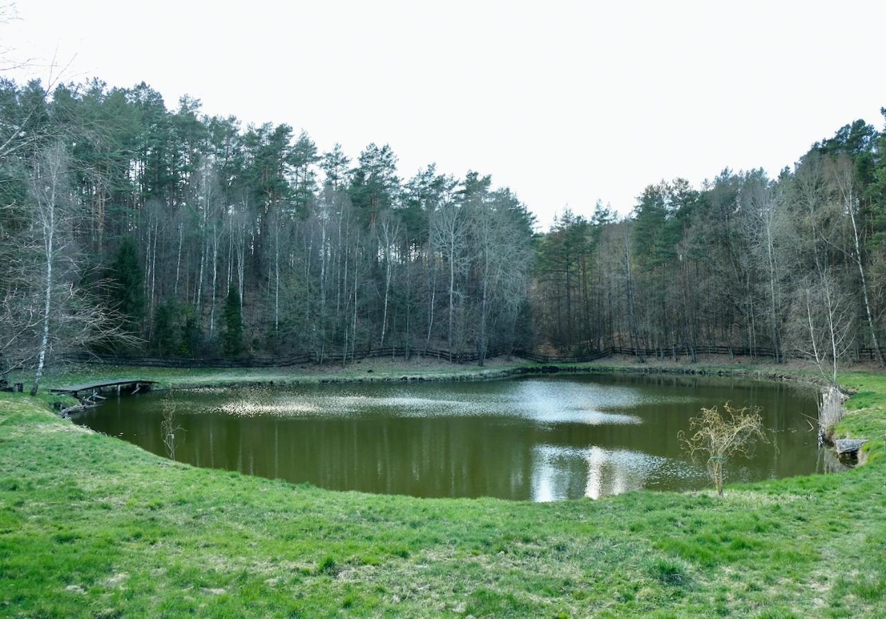 Agroturystyka Strzebielino ภายนอก รูปภาพ