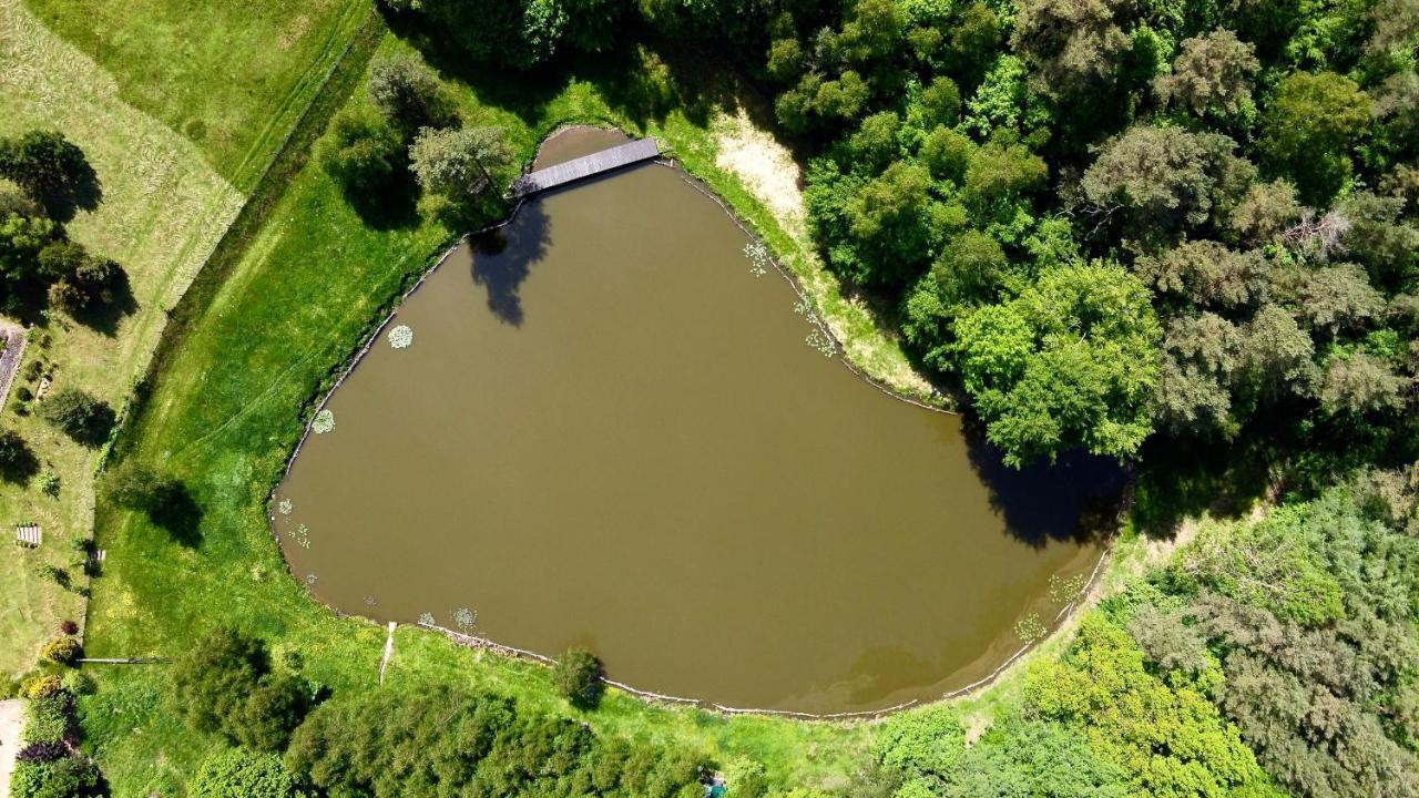 Agroturystyka Strzebielino ภายนอก รูปภาพ